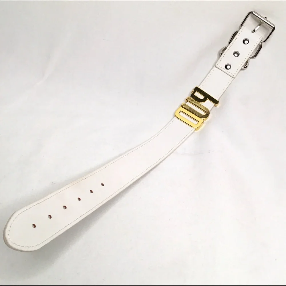 💎White Dog Collar Faux Leather With Metallic Letters Spelling PUD